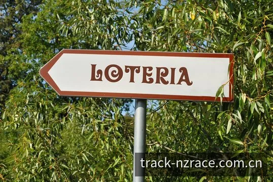 新西兰赛车赛道轨迹遗漏研判全景图